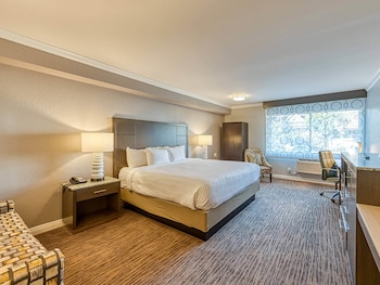 Standard Room, 1 King Bed, Accessible, Non Smoking (Accessible Tub)