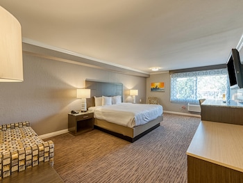 Standard Room, 1 King Bed, Non Smoking