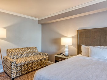 Standard Room, 1 King Bed, Accessible, Non Smoking (Accessible Tub)