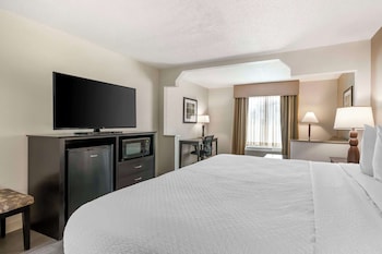 Suite, 1 King Bed, Non Smoking, Refrigerator & Microwave (with Sofabed)