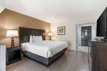 Suite, 1 King Bed, Non Smoking, Refrigerator & Microwave (with Sofabed)