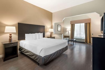Suite, 1 King Bed, Accessible, Non Smoking (with Sofabed)
