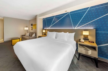 Suite, 1 King Bed with Sofa bed, Non Smoking
