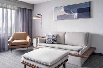 Room, 1 King Bed with Sofa bed