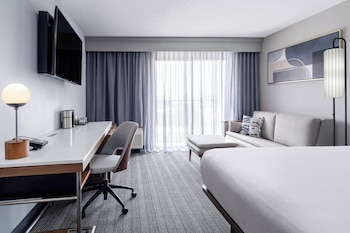 Room, 1 King Bed with Sofa bed