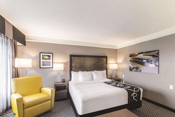 Room, 1 King Bed, Non Smoking (Tub with Grab Bars)