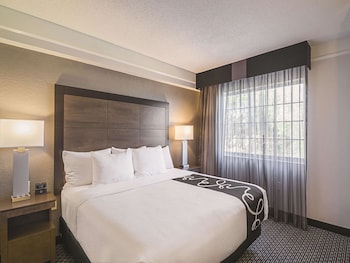 Room, 1 King Bed, Accessible, Non Smoking (Roll-In Shower)