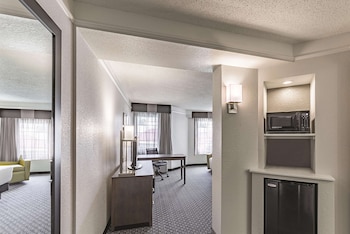 Room, 1 King Bed, Non Smoking (Tub with Grab Bars)