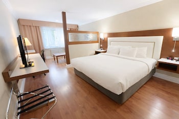 Suite, 1 King Bed with Sofa bed, Non Smoking