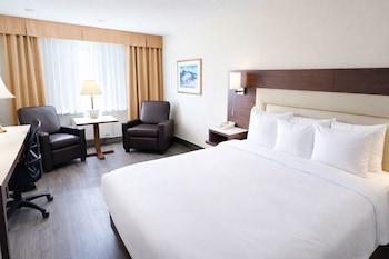 Business Room, 1 King Bed, Non Smoking