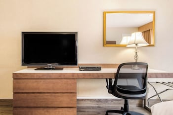 Business Room 1 King Bed with sofa bed Non Smoking