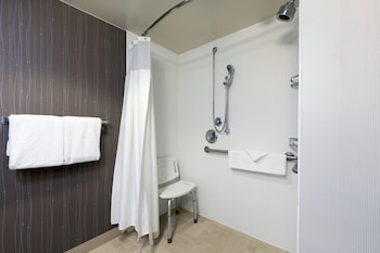 Room, 1 King Bed, Hearing Accessible (Roll-in Shower & Transfer Shower)