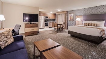 Standard Room, 1 King Bed, Non Smoking, Kitchen (with Single Sofabed, Full Kitchen)