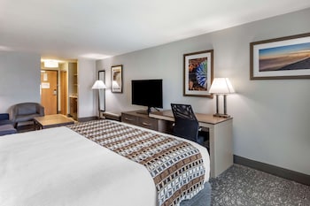 Standard Room, 1 King Bed, Non Smoking, Kitchen (with Single Sofabed, Full Kitchen)
