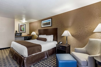 Standard Room, 1 King Bed, Accessible, Non Smoking