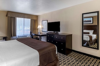 Standard Room, 1 King Bed, Accessible, Non Smoking