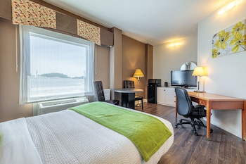 Room, 1 Double Bed, Accessible, Non Smoking