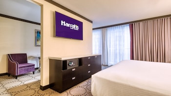 Room, 1 King Bed, Non Smoking (Mountain)