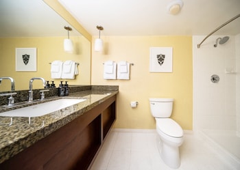 Newly Renovated Resort Superior King