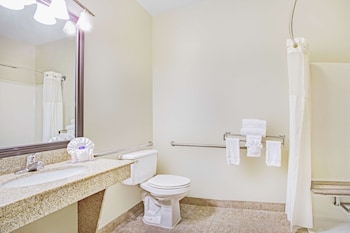Room, 1 King Bed, Accessible, Non Smoking (Roll-In Shower)
