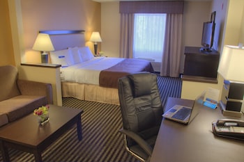 Studio Suite, 1 King Bed, Non Smoking