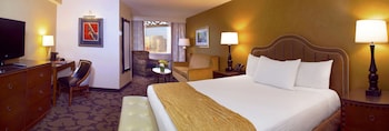Strip View 1 King Bed Non Smoking