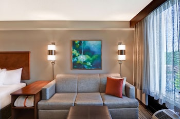 Room, 1 King Bed with Sofa bed (High Floor)