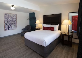 Standard Room, 1 Queen Bed, Refrigerator & Microwave (Shower Only;No Pets in room type)