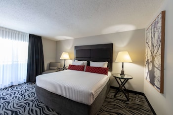 Standard Room, 1 King Bed, Refrigerator & Microwave, Ground Floor (Pet Friendly)