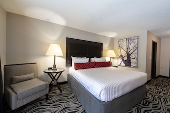 Standard Room, 1 King Bed, Refrigerator & Microwave, Ground Floor (Pet Friendly)