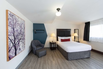 Standard Room, 1 Queen Bed, Refrigerator & Microwave (Shower Only;No Pets in room type)
