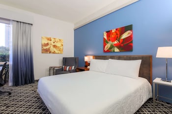 One King Bed, Non-Smoking, Accessible