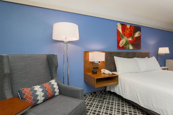 One King Bed, Non-Smoking, Accessible