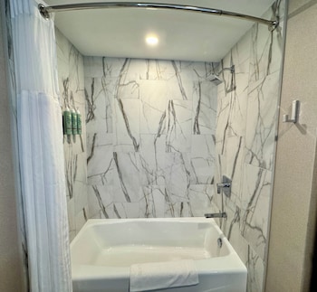 Standard Room, 1 King Bed, Non Smoking, Refrigerator (Pet Friendly)