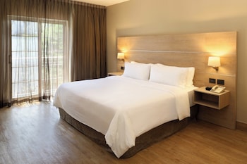 Suite, 1 King Bed
