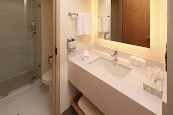 Suite, 1 King Bed