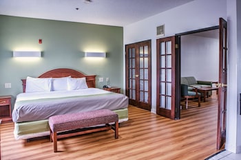 Deluxe Suite, 1 King Bed, Smoking, Hot Tub
