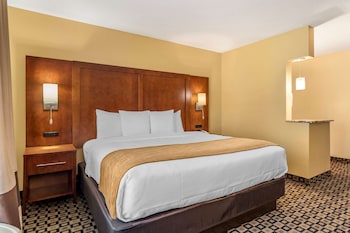 Standard Room, 1 King Bed, Non Smoking
