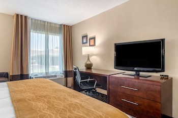 Standard Room, 1 King Bed, Accessible, Non Smoking