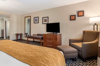 Standard Room, 1 King Bed, Non Smoking