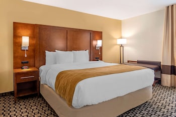 Standard Room, 1 King Bed, Non Smoking