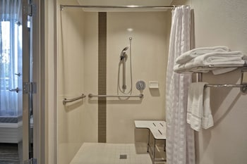 Room, 1 King Bed, Accessible (with Roll-in Shower)