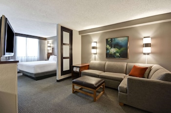 Room, 1 King Bed with Sofa bed (High Floor)