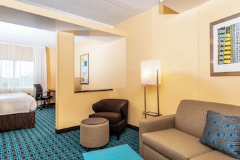 Suite, 1 King Bed with Sofa bed