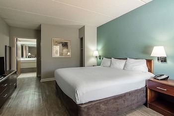 Room, 1 King Bed, Accessible, Non Smoking