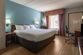 Room, 1 King Bed, Accessible, Non Smoking