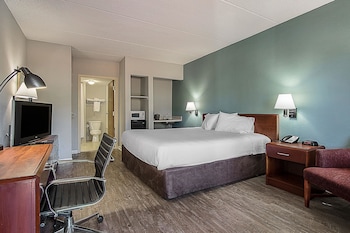 Standard Room, 1 King Bed, Non Smoking