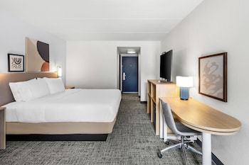 Room, 1 King Bed with Sofa bed