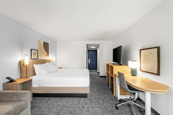 Room, 1 King Bed, Accessible (Roll-In Shower)