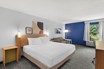 Room, 1 King Bed, Accessible (Roll-In Shower)